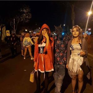 Meet your Posher, Freda